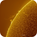 Prominences 5-3-2020, David Frost