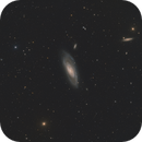 M106 & Others, Ross Salinger