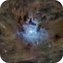 Caldwell 4, The Iris Nebula, Chris Eplett