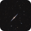NGC 4565 with 10 Zoll, Mario Richter