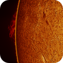 solar prominence in h-alpha taken 02072025, nonsens2