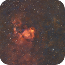 IC1795 Fish Head Nebula, Reinhold Lamb