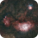 Lagoon, Trifid and Neighborhood, David Quattlebaum