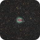 IC 1295, Carlos Trujillo