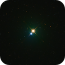Albireo, fjwidmann
