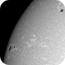 9 July 25 - 0946UT - Gband - New AR coming round the limb, Leela.Astro.Imaging
