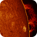 AR14126 together with a prominence in h-alpha taken 02072025, nonsens2