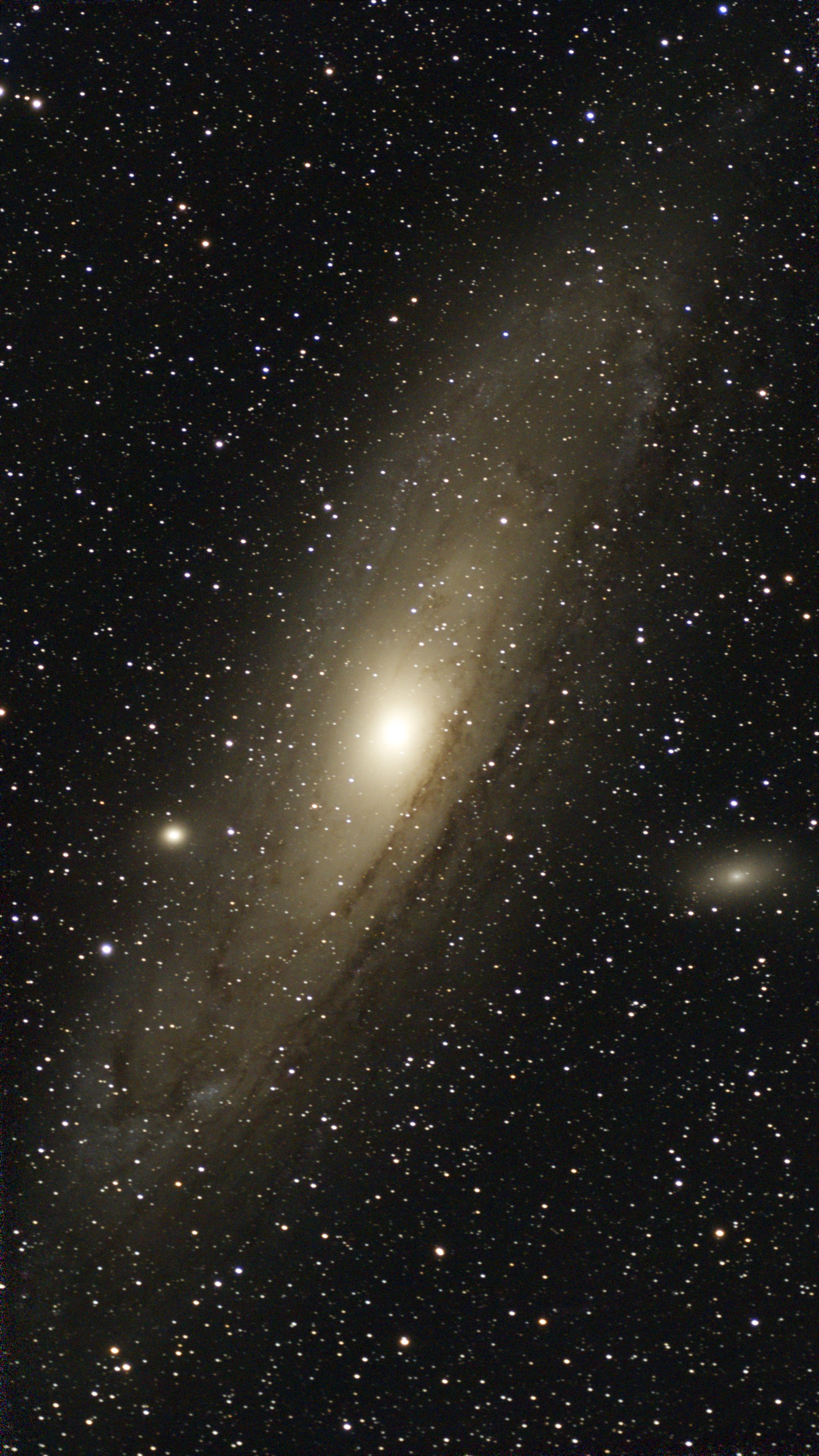 Andromeda