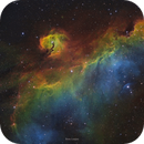 Gaviota cosmica, Carlos Trujillo