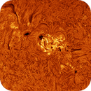 AR14115 AR14114 AR14113 in h-alpha taken 15062025, nonsens2