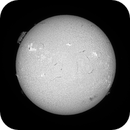 Sun FD in H-Alpha 11th of July 2025, Arne Danielsen