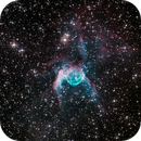 Thor's Helmet, Bozo
