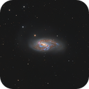 The M66 barred spiral galaxy, Francesco Meschia