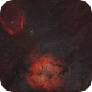 Sh2-129 & IC 1396, Mario Richter