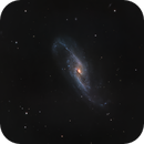 NGC4536, Chris Jensen