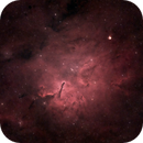 NGC 6823, Catherine Ryan Hyde