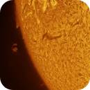 Solar Prominance, DrNigel