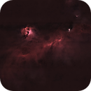 The Seagull Nebula, starless and otherwise, Catherine Ryan Hyde