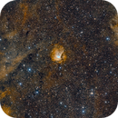 Cygnus Wide Field with Sharpless 2-112 - Esprit 80 - ASI1600MM - SHORGB - Paramount MyT - 52 Hours, Rowland Archer