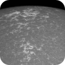 Sun Calcium 393.4 nm 06.06.2025, Olegs_Astrophotography