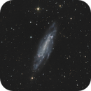 NGC 4236 in Draco, Mau_Bard