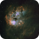 Tadpole Nebula IC 410 SHO, Peter Bresler