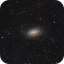 The Sunflower Galaxy - Messier 63, Christian Andres