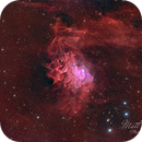 SH2-229 (Flaming Star nebula), 18/03/2025, Matt Beddis