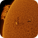11 jul 25 - 0802ut - ha - ar 4136 and a towering wall of proms coming over the horizon!, Leela.Astro.Imaging