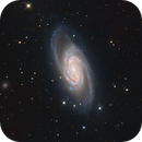NGC2903, Daniel Carter