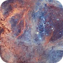 The Rosette Nebula (NGC2244) in Narrowband, David Payne