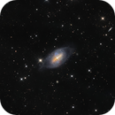 NGC 2685, the Helix Galaxy, Roberto Marinoni