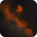 Seagull Nebula, Bozo