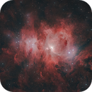 M42 & M43, Tryggve Dyrvik
