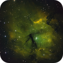 Collinder 197 (SHO), Eduardo Rigoldi Fernandes