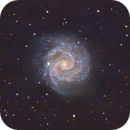 NGC 3184 - Little Pinwheel Galaxy - EdgeHD 9.25" - ASI2600MC - duoNB Filter + L - iOptron CEM60, Rowland Archer