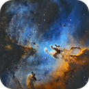 M16 in SHO 2025, Tommy Mastro