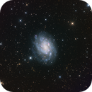NGC 300 — A Nearby Face-On Spiral in the Sculptor Group, Alpha Zhang