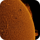 1 jul 25 - 1039ut - ha - sunspots and big proms, what's not to like?, Leela.Astro.Imaging