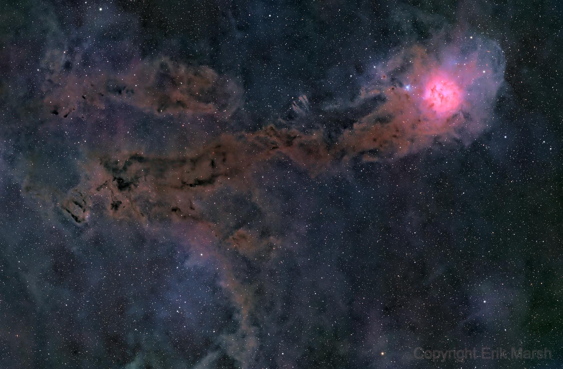 Cocoon Nebula