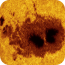 The large sunspot AR4079, Laszlo Francsics