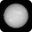 Sun FD in H-Alpha 15th of July 2025, Arne Danielsen