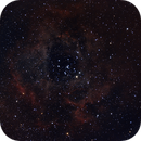 NGC 2244 (Satellite Cluster) and NGC 2237 (Rosette Nebula), Paul Evans