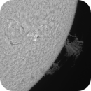 Sun close up of AR4117, 4118 and 4121 in H-Alpha 27th of June 2025, Arne Danielsen