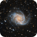 NGC 2997, DiscoDuck
