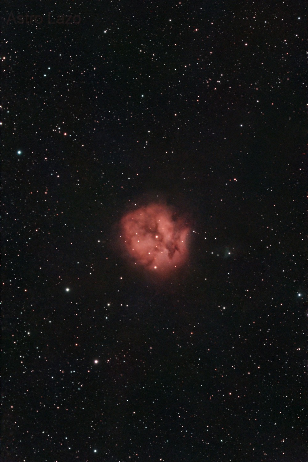 IC5146