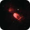 Sh 2-106 - The Celestial Snow Angel, Patrick El Hage