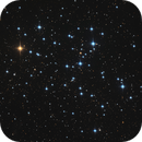 M6, Butterfly Cluster, Willem Jan Drijfhout