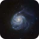 Messier 101, Jenke ter Horst