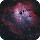 IC 410, NGC1893 - OSC with DNB, processed in HOO with RGB stars ...so many abbreviations ;) 4 hrs from Bortle 5, Klaus Haaken